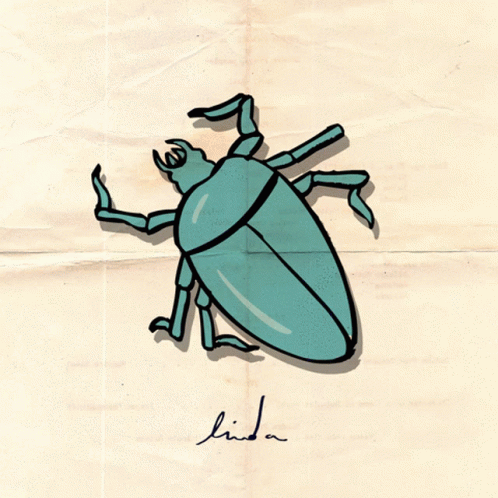 Beetle Illustration GIF