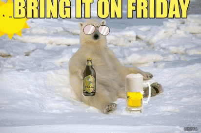 Beer Day GIF - Beer Day Friday GIFs