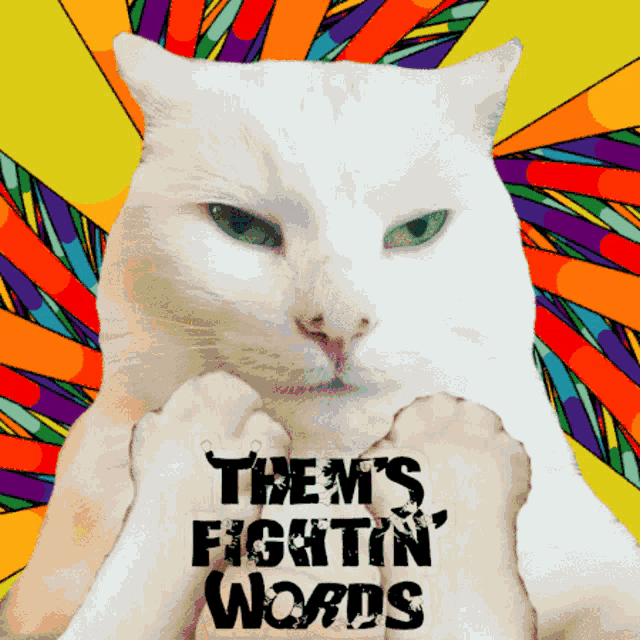 a cat with a sticker that says them 's fightin ' words on it