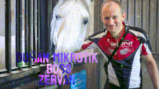 a man standing next to a horse wearing a shirt that says dusan mikrotik boss