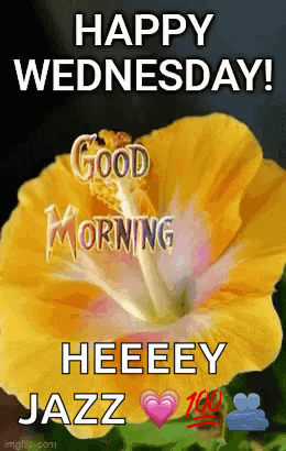 Wednesday Morning GIF - Wednesday Morning GIFs