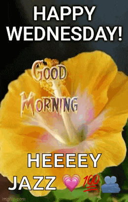 a yellow flower with the words `` happy wednesday ! good morning heeeey jazz '' written on it