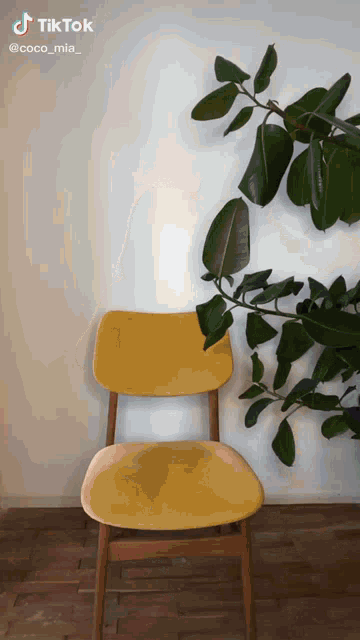a yellow chair is in front of a plant with tiktok written on the bottom