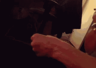 a person is petting a cat with their hand