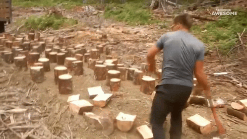 Chop People Are Awesome GIF - Chop People Are Awesome Wood Slicing GIFs