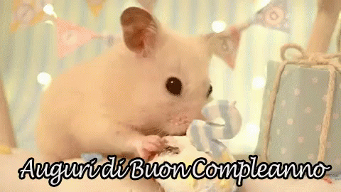 Auguri Di Buon Compleanno Torta Di Compleanno Topo GIF - Happy Birthday Birthay Cake Mouse GIFs