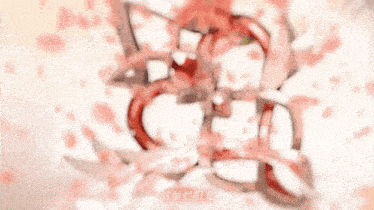 a red object is surrounded by pink petals with chinese writing on the bottom