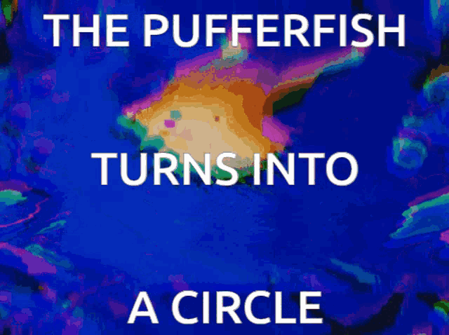 the pufferfish turns into a circle written on a blue background