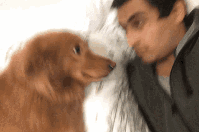 a man and his dog are looking at each other