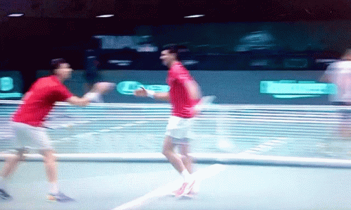 Nikola Cacic Novak Djokovic GIF - Nikola Cacic Novak Djokovic Hand Slap GIFs