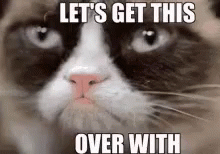 Lets Get This Over With Cat GIF - Lets Get This Over With Cat Grumpy Cat GIFs