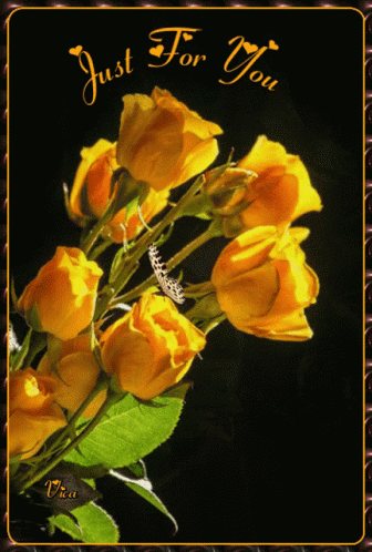 Neked Just For You GIF - Neked Just For You Roses GIFs
