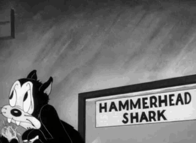 Looney Tunes Cat GIF - Looney Tunes Cat Hammerhead Shark GIFs