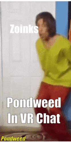 a picture of a man in a yellow shirt and red pants with the words zoinks pondweed in vr chat