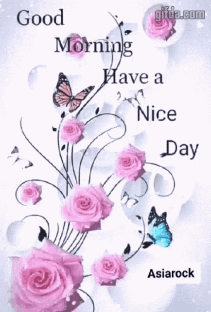 a good morning have a nice day greeting card with pink roses and butterflies