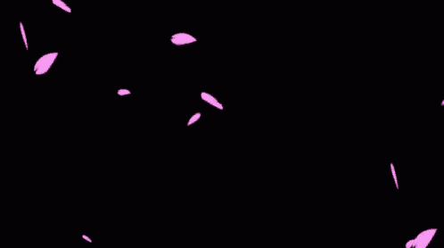 pink cherry blossom petals falling in slow motion on a black background .