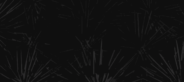 a black background with a pattern of lines coming out of it