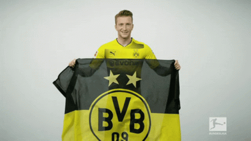 Borussia Dortmund Marco Reus GIF