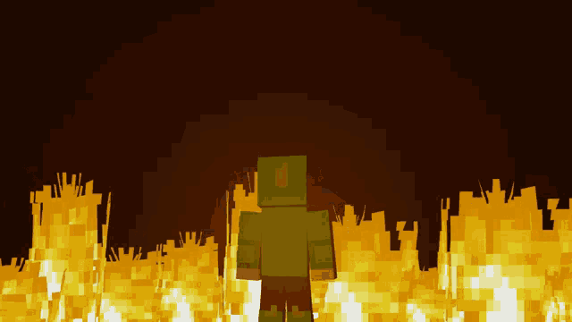 a minecraft character is standing in front of a field of fire