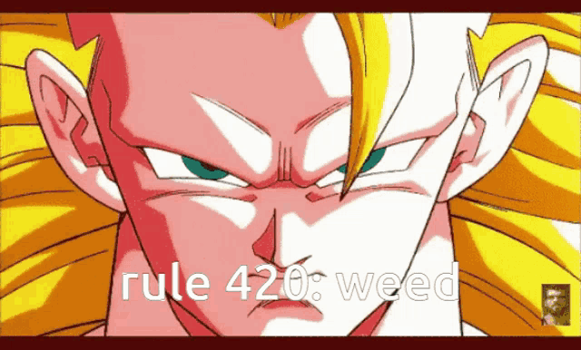 a picture of a dragon ball z character with the words rule 420 weed written below it