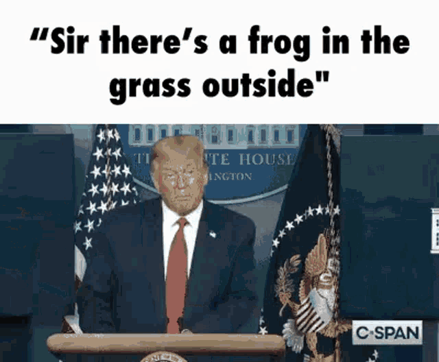 a man in a suit and tie is standing at a podium with a frog in the grass outside behind him .