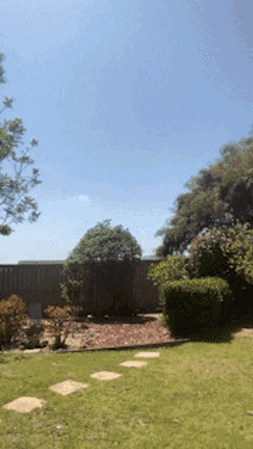 a backyard with a wooden fence and a blue sky
