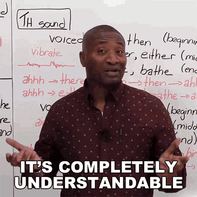 Its Completely Understandable James GIF - Its Completely Understandable James Engvid GIFs