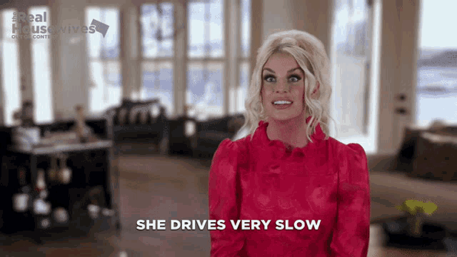 Real Housewives Housewives GIF