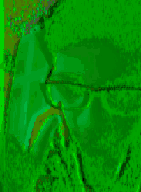 a green background with a picture of a person wearing sunglasses
