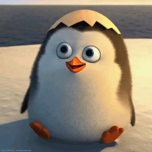 Hello Penguin GIF