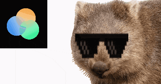 a wombat wearing sunglasses next to an app