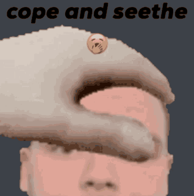 a picture of a man with a cat 's paw on his forehead and the words cope and seethe above him