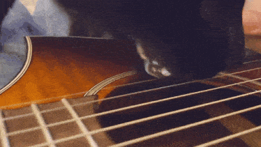 a person playing an acoustic guitar with a cat behind them