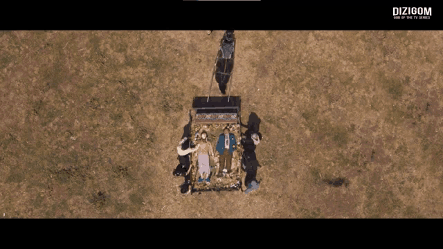 an aerial view of a horse drawn carriage with dizigom written on the bottom