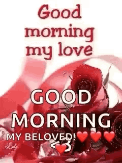 a picture of roses with the words `` good morning my love '' written on it .