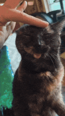 Silly Cat GIF - Silly Cat Tongue GIFs