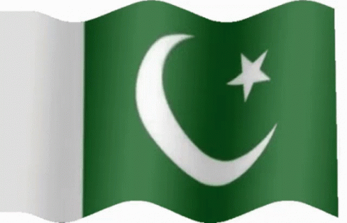 Pakistan Zindabad Flag GIF - Pakistan Zindabad Flag Wave GIFs