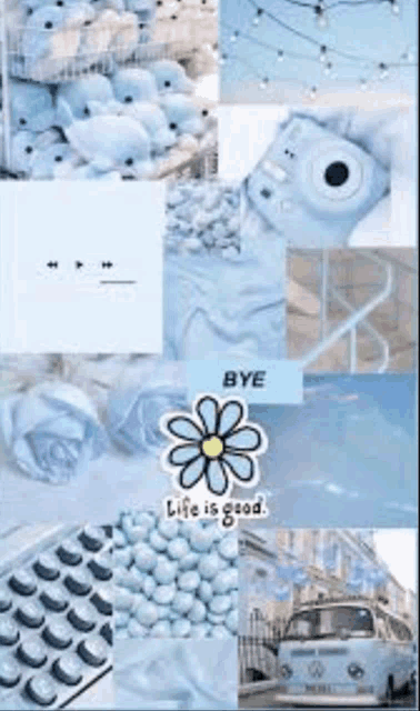 a collage of blue and white photos with a flower and a camera
