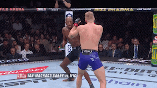 two men are fighting in a boxing ring with rizz pharma written on the side