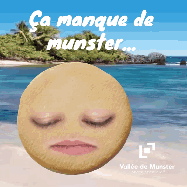 Munster Fromage GIF - Munster Fromage Montagne GIFs