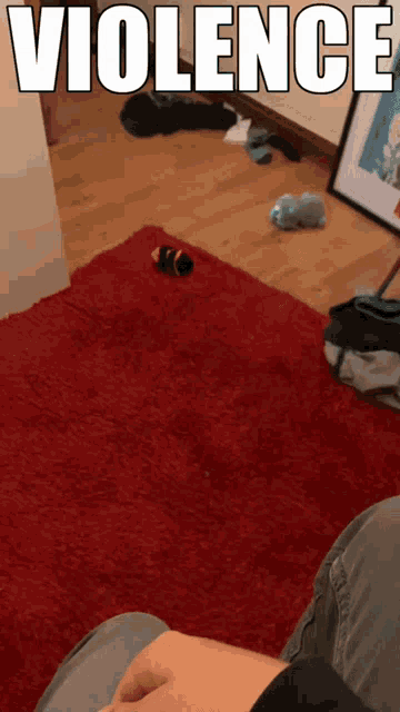 a person is sitting on a red rug with the word violence written on it