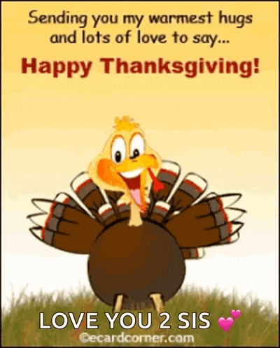 a turkey is standing in the grass with its wings outstretched .