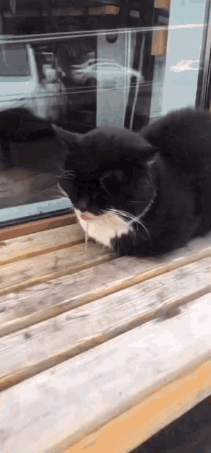 a black cat is laying on a wooden bench