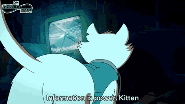 a cartoon cat says information is power kitten in front of a computer screen