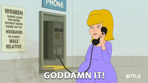 Goddamn It Sue Murphy GIF - Goddamn It Sue Murphy F Is For Family GIFs