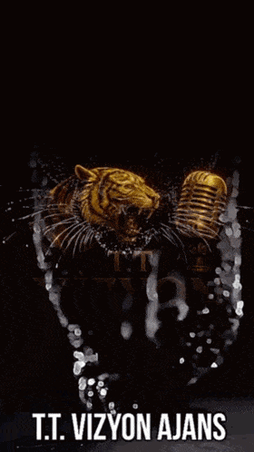 a yellow sign that says vizyon ajans with a tiger on it