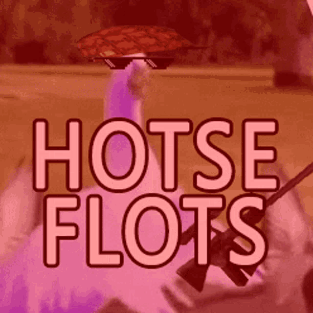 a picture of a flamingo with sunglasses and the words hotse flots on it