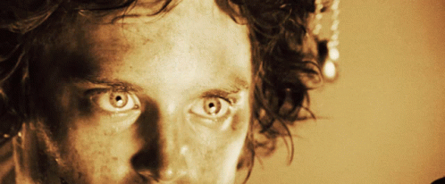 Lord Of The Rings Frodo GIF - Lord Of The Rings Frodo Stare GIFs