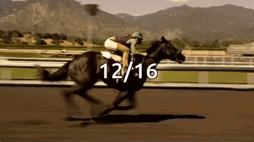 a jockey is riding a horse on a race track with the number 12/16 written on the bottom