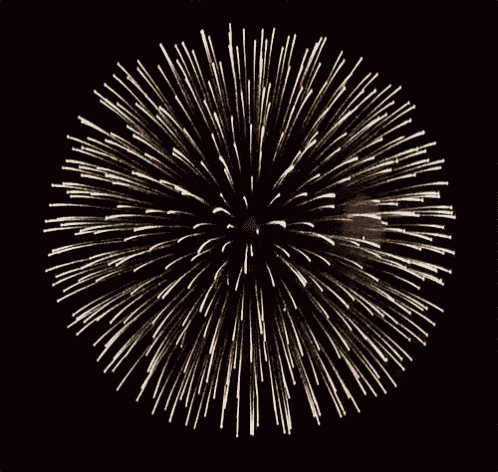 a fireworks display in the night sky looks like a dandelion .
